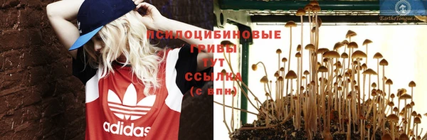 прущая мука Белокуриха
