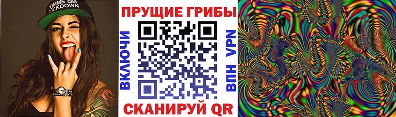 гидра ONION  Кизляр  Псилоцибиновые грибы Cubensis 